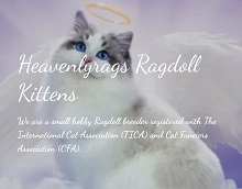 Logo for Heavenlyrags
