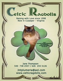 Logo for Celticragdolls
