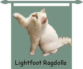 Logo for Lightfoot Ragdolls